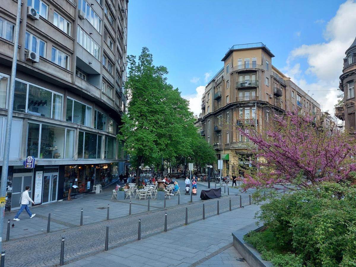 Lotta Apartment Belgrade Extérieur photo